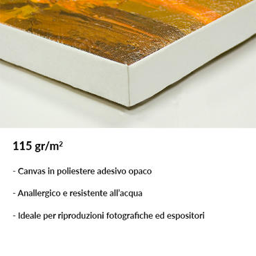 CANVAS ADESIVO